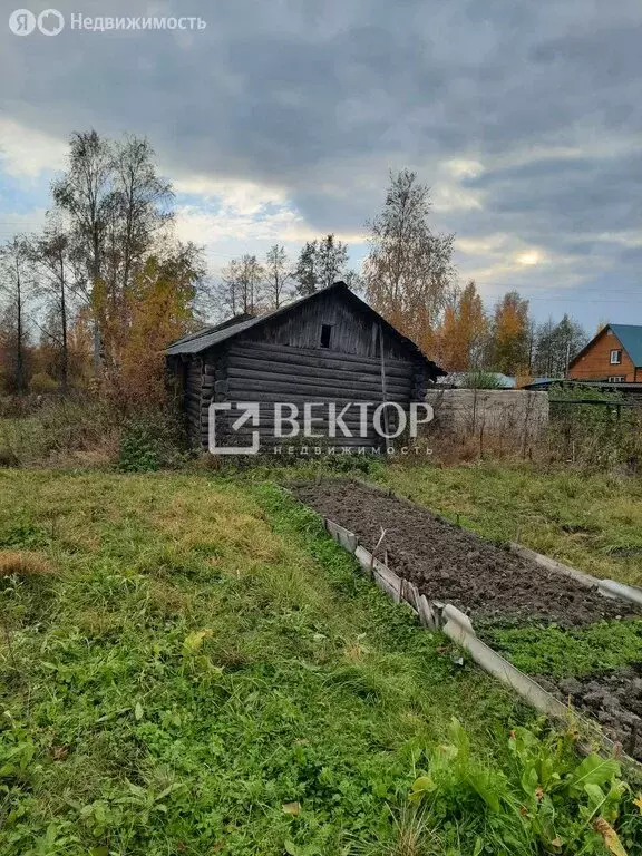 Участок в Шарья, улица Серова, 20 (10.3 м) - Фото 0