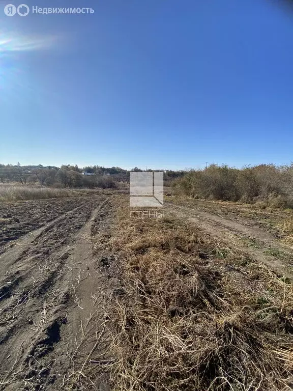 Участок в Амурская область, Благовещенский муниципальный округ, село ... - Фото 2