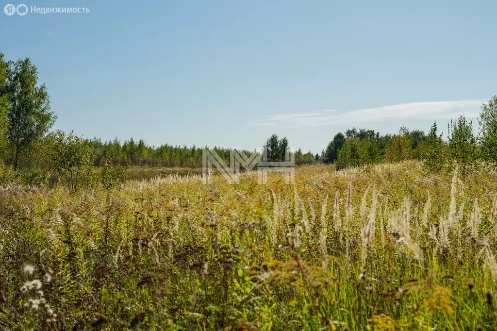 Участок в Клоково, Дорожная улица (529 м) - Фото 1