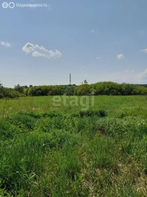 Участок в Кемерово, Ирбитская улица (10.2 м) - Фото 1