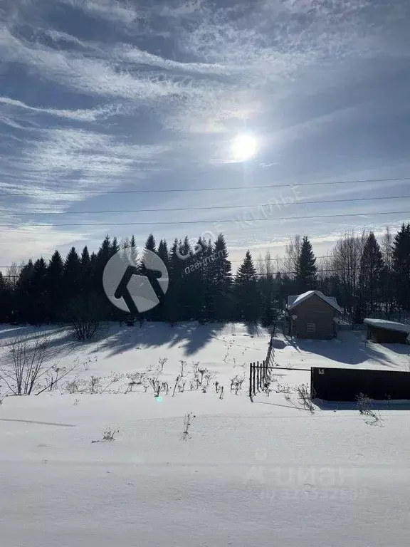 Участок в Пермский край, Пермский муниципальный округ, д. Заозерье ... - Фото 2