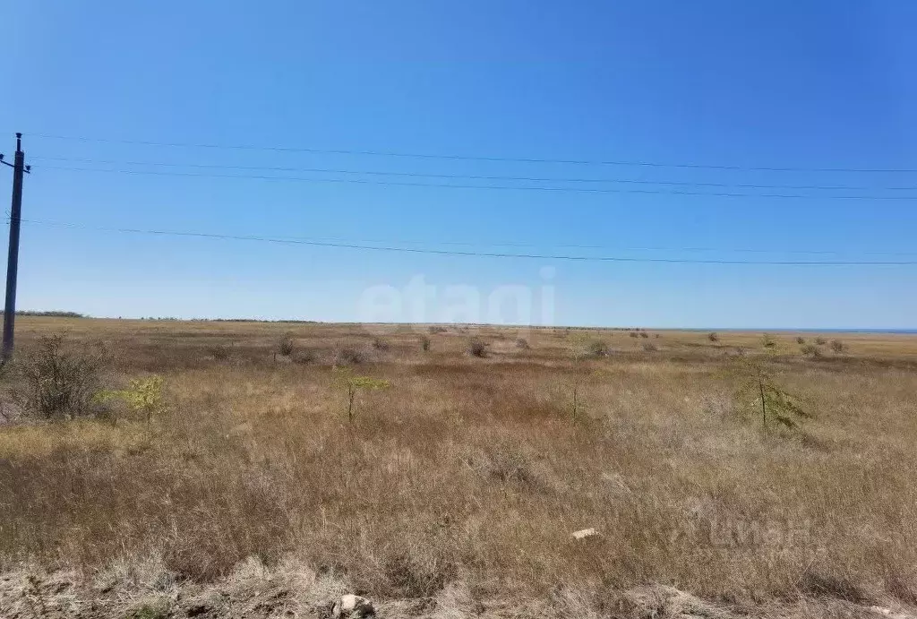 Участок в Крым, Черноморский район, с. Новосельское  (6.0 сот.) - Фото 1