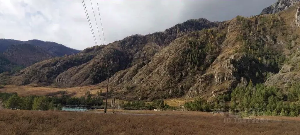 Участок в Алтай, Чемальский район, с. Еланда  (12.0 сот.) - Фото 0