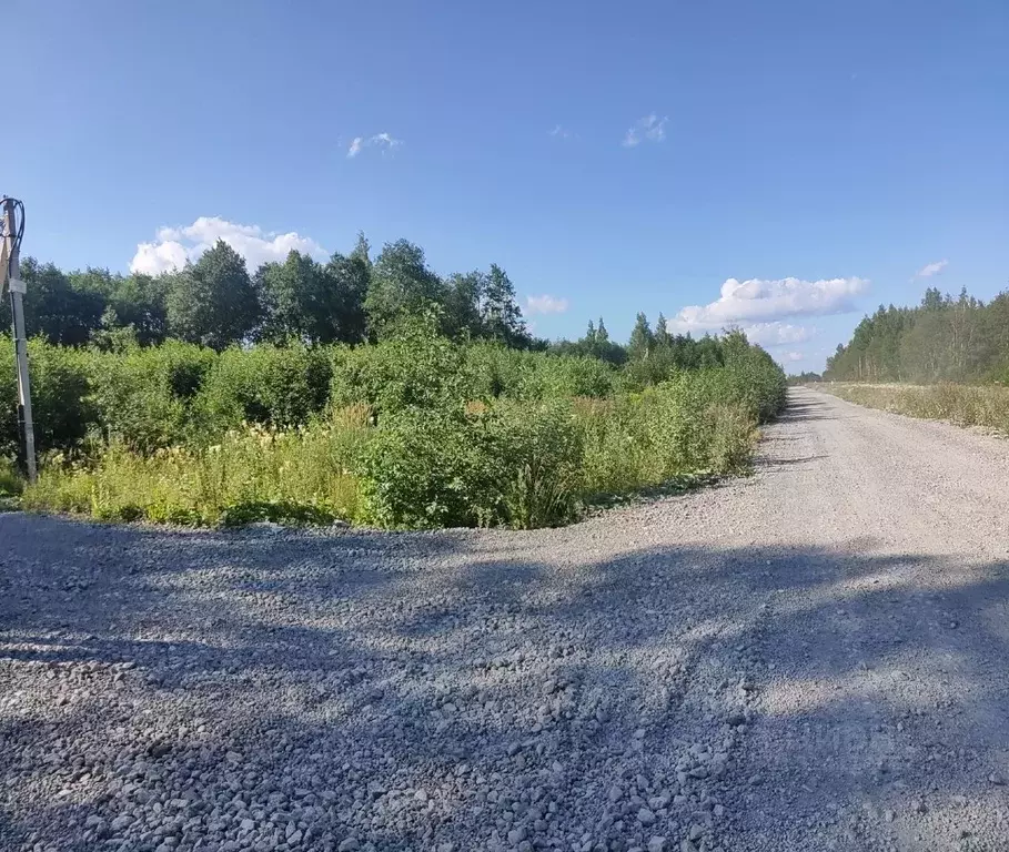 Участок в Вологодская область, Череповец Якунинская ул. (9.0 сот.) - Фото 2