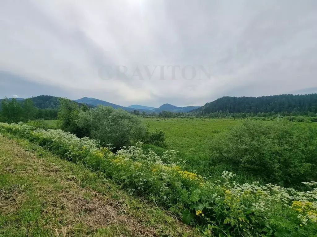 Участок в Алтай, Майминский район, с. Кызыл-Озек ул. Малиновая, 53 ... - Фото 1