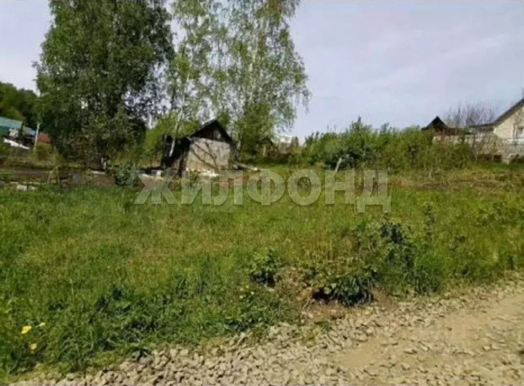 Участок в Новосибирская область, Новосибирск Ветеран СНТ, ул. ... - Фото 1