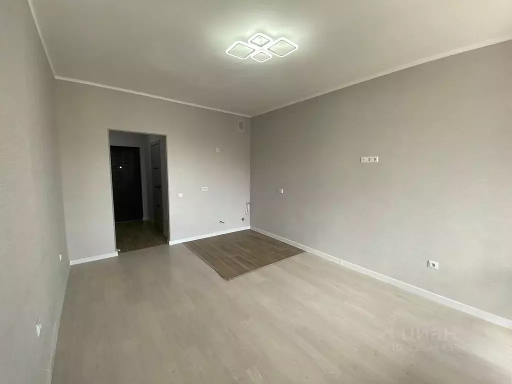 Студия Санкт-Петербург пос. Шушары, просп. Старорусский, 8к1 (24.4 м) - Фото 2