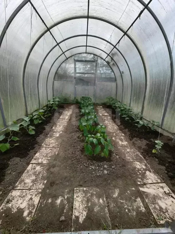Дом в Костромская область, Костромской район, Шунгенское с/пос, с. ... - Фото 1