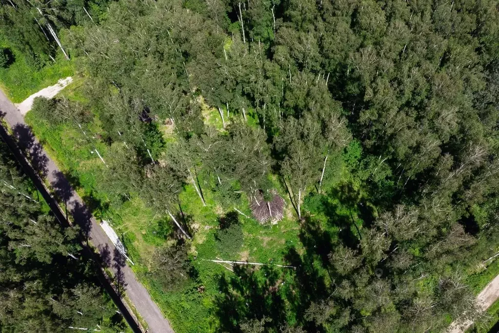 Участок в Московская область, Чехов Чеховские Усадьбы кп,  (11.4 сот.) - Фото 1