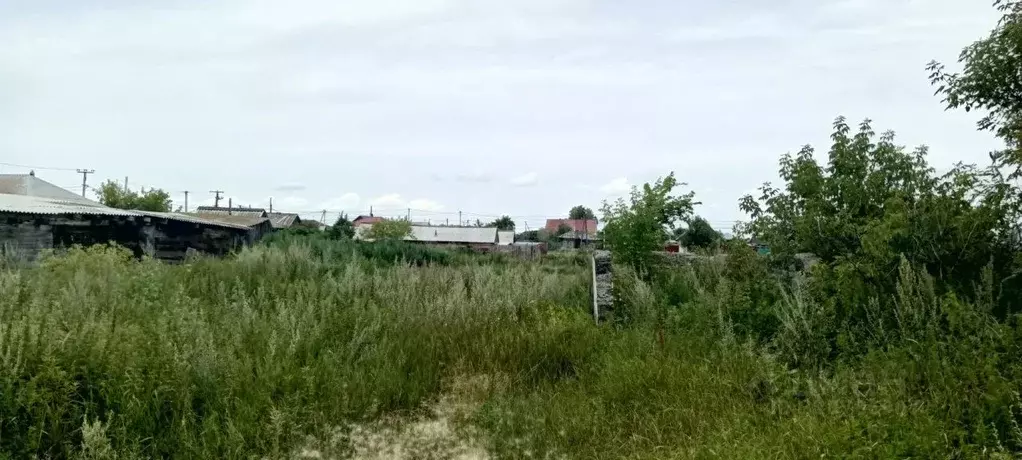 Участок в Курганская область, Лебяжье рп ул. Октябрьская, 102 (7.38 ... - Фото 2