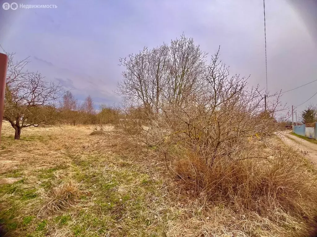 Участок в Смоленский муниципальный округ, садовое некоммерческое ... - Фото 1