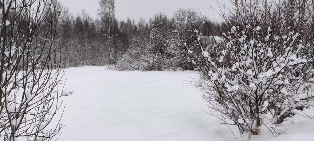 Участок в Ленинградская область, Тосненский район, Рябовское городское ... - Фото 1