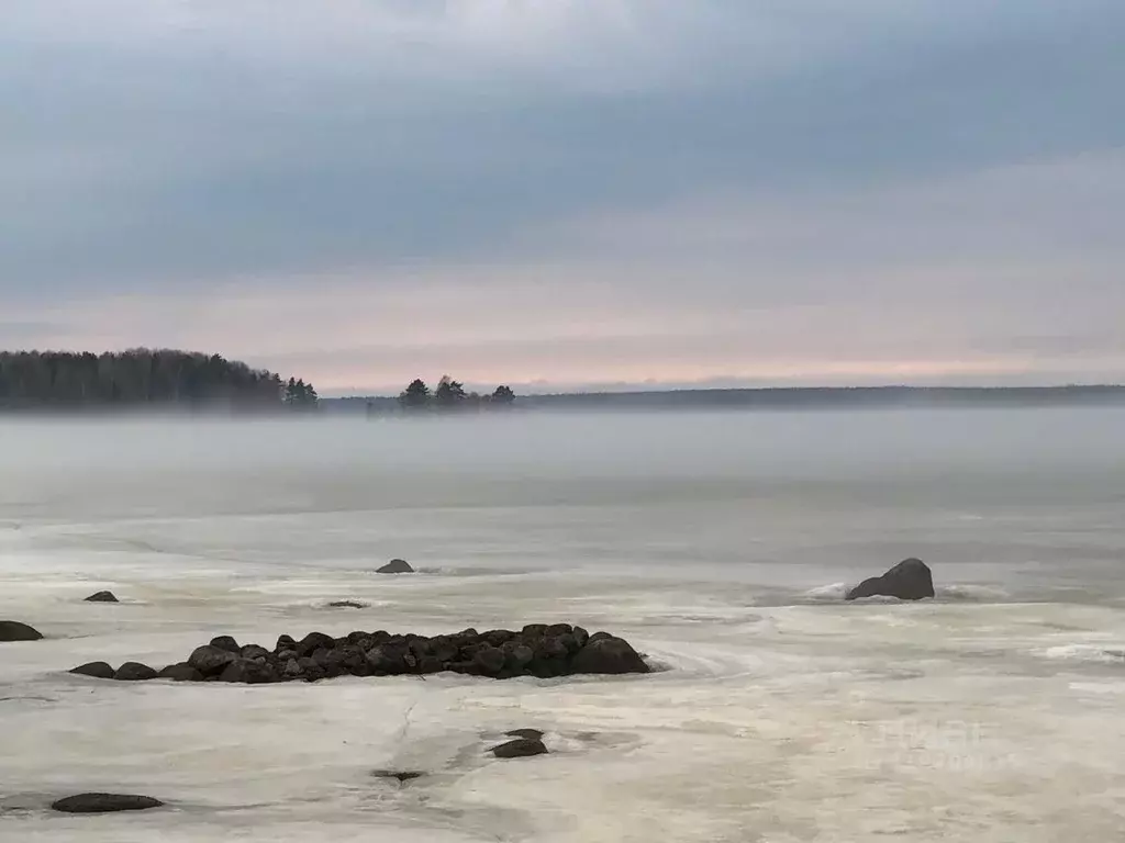 Дом в Ленинградская область, Выборгский район, Приморское городское ... - Фото 0