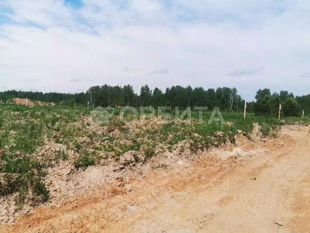 Участок в Тюменская область, Тюменский район, с. Каменка, Завидово кп  ... - Фото 0