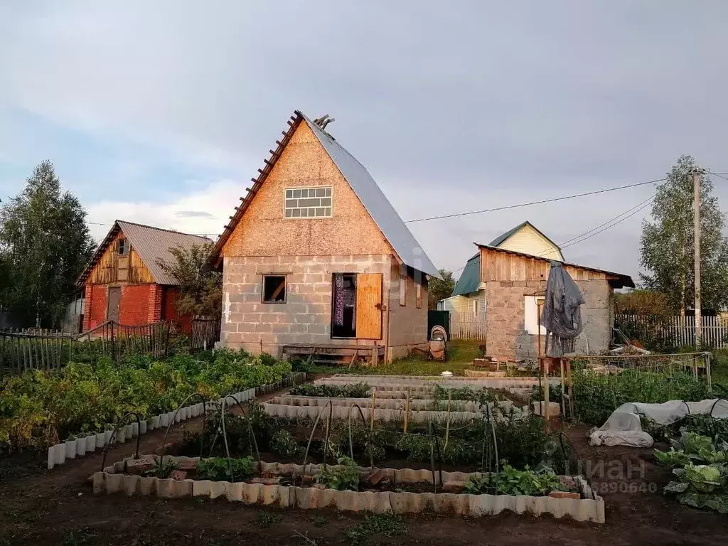 Дом в Новосибирская область, Бердск Майское СНТ, 356 (36 м) - Фото 0