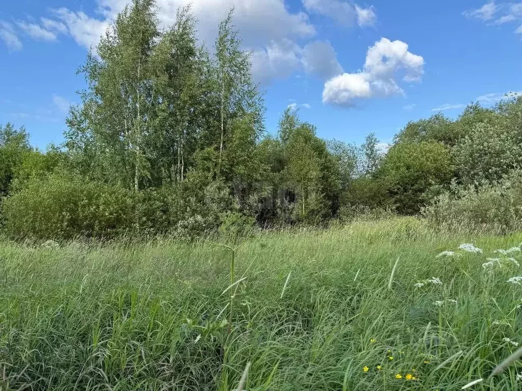 Участок в Вологодская область, Великоустюгский муниципальный округ, ... - Фото 0