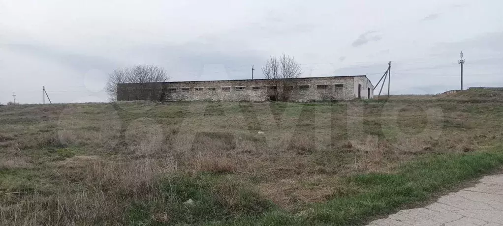 Дом 836 м на участке 50 сот. - Фото 0