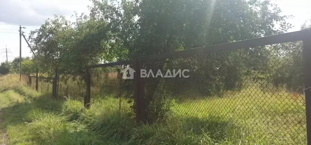 Участок в Калининградская область, Гурьевский муниципальный округ, ... - Фото 2