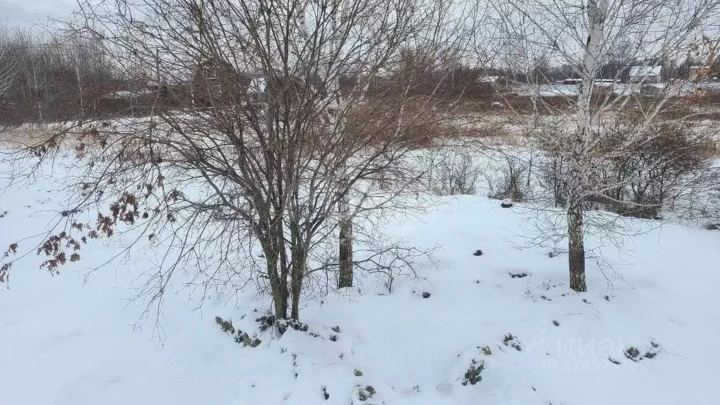 Участок в Тюменская область, Тюмень Поле Чудес садовое товарищество, ... - Фото 2