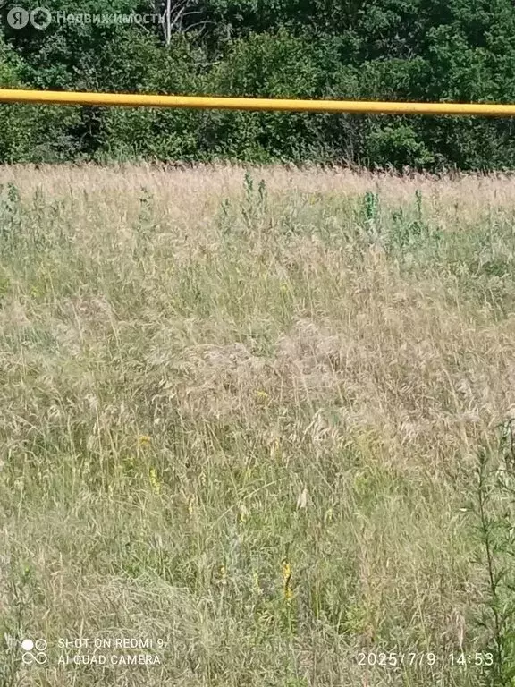 Участок в Саранск, СНТ Зелёный Друг (4.56 м) - Фото 2