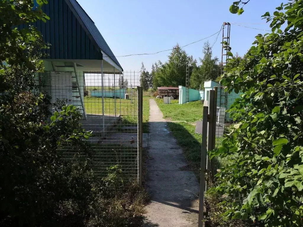 Участок в Тамбовская область, Тамбовский муниципальный округ, Березка ... - Фото 1