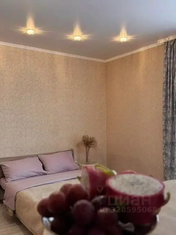 1-к кв. Алтай, Майминский район, с. Майма пер. Лесной, 18 (40.0 м) - Фото 2