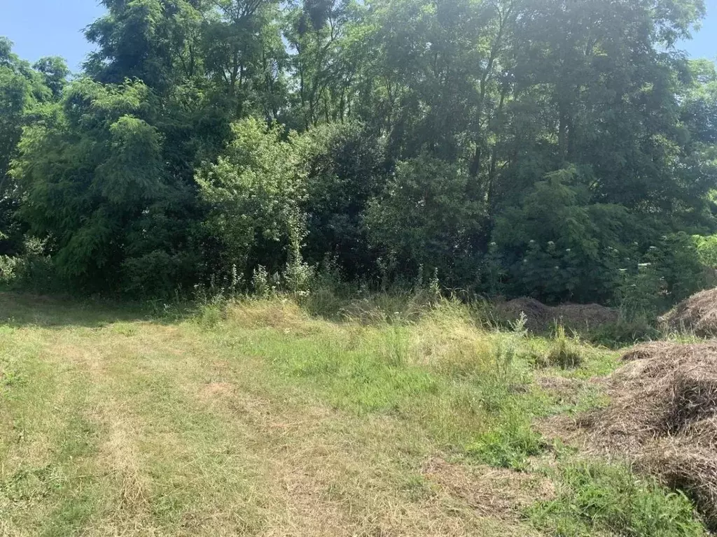 Участок в Краснодарский край, Анапа муниципальный округ, Уташ хут. ул. ... - Фото 2