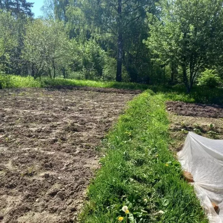 Участок в Калужская область, Дзержинский район, с. Дворцы ул. ... - Фото 2