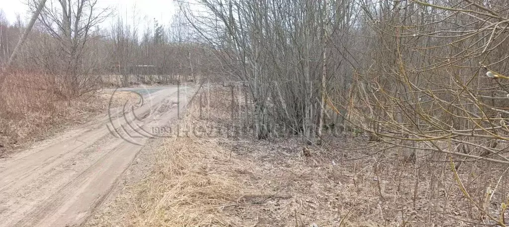 Участок в Ленинградская область, Лодейнопольское городское поселение, ... - Фото 0