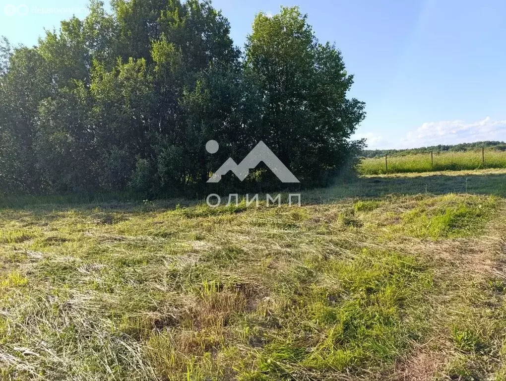 Участок в Вологодский муниципальный округ, деревня Лучниково, 37 ... - Фото 1