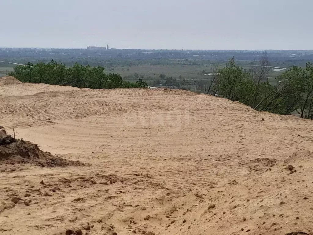Участок в Амурская область, Серышевский муниципальный округ, с. ... - Фото 0
