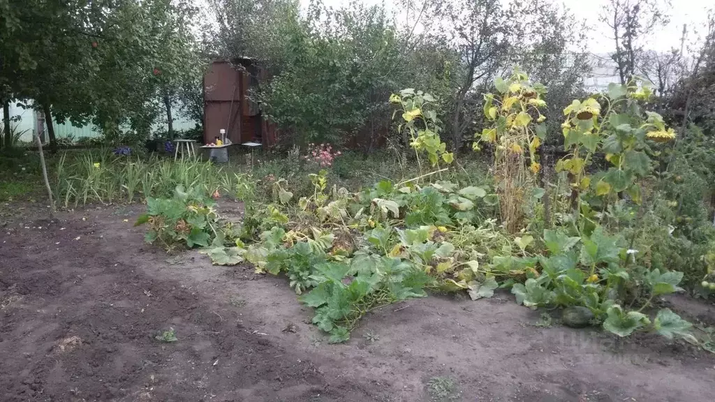 Участок в Самарская область, Ставропольский район, Верхнее Санчелеево ... - Фото 2