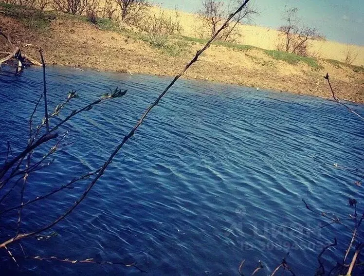 Участок в Ростовская область, Батайск Донская Чаша садовое ... - Фото 0