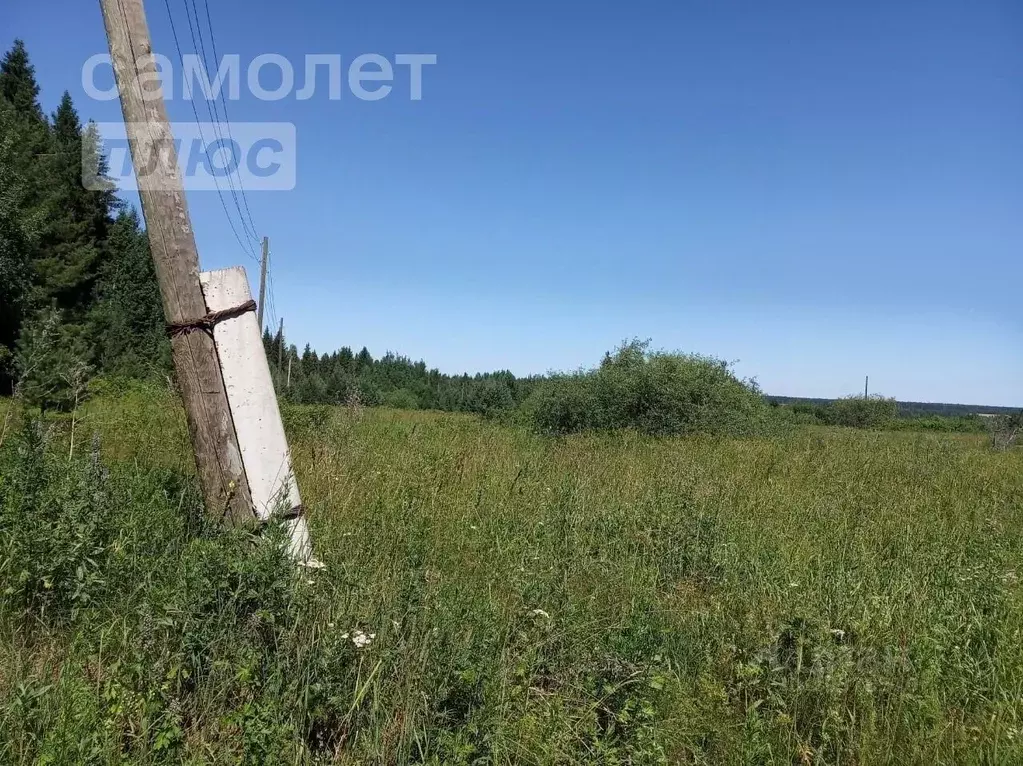 Участок в Кировская область, Киров городской округ, с. Русское  (10.0 ... - Фото 1