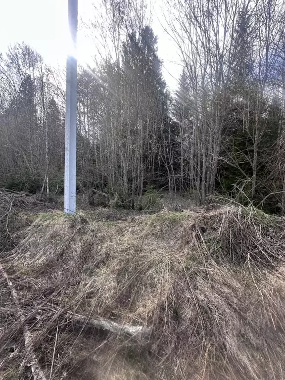Участок в Московская область, Богородский городской округ, с. Стромынь ... - Фото 1