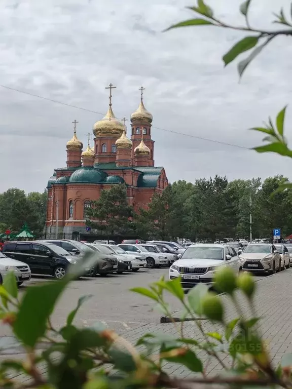Студия Алтайский край, Барнаул ул. Антона Петрова, 221Д/1 (23.0 м) - Фото 1
