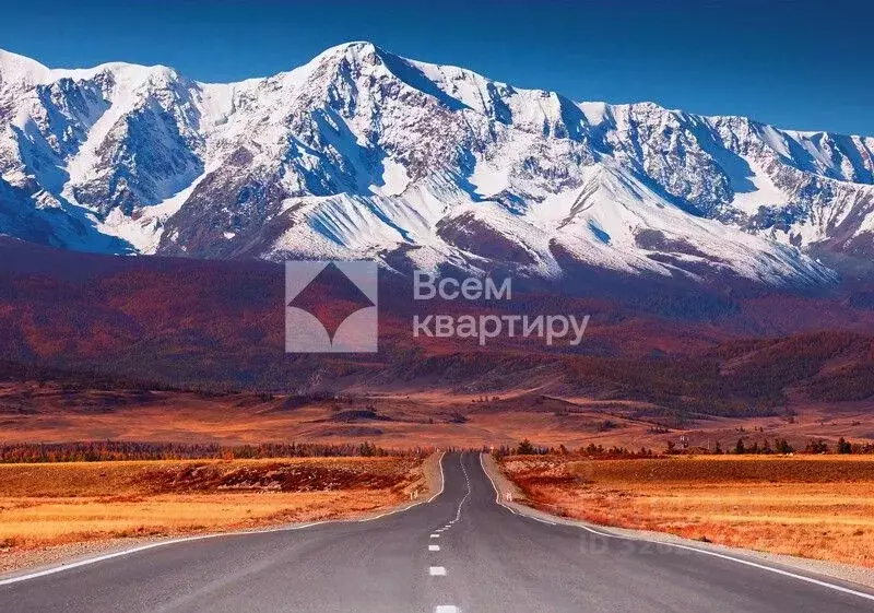 Участок в Алтай, Кош-Агачский район Р-256 Чуйский тракт, 820-й км ... - Фото 1