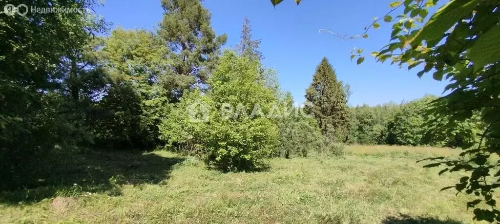 Участок в Кириллов, деревня Лукинки (15 м) - Фото 1