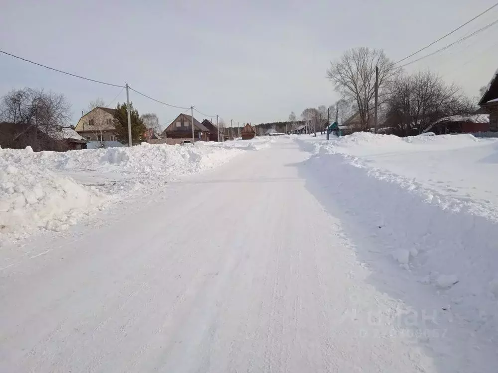 Участок в Тюменская область, Ярковский муниципальный округ, д. Варвара ... - Фото 2