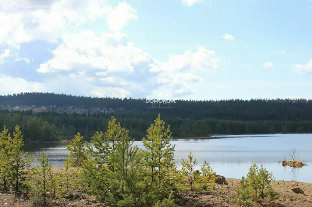 Участок в Уралец, Дачная улица, 24 (15 м) - Фото 2