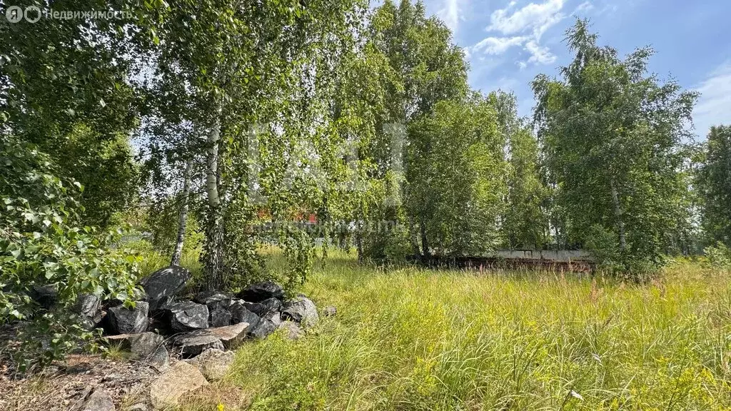 Участок в Смолино, Солнечная улица, 6 (49.21 м) - Фото 0