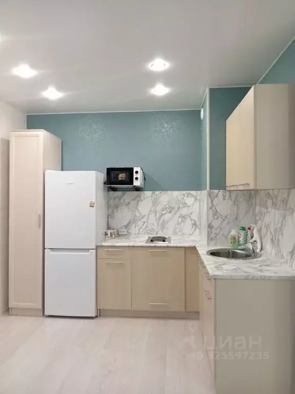 Студия Вологодская область, Вологда ул. Маршала Конева, 24 (34.0 м) - Фото 1