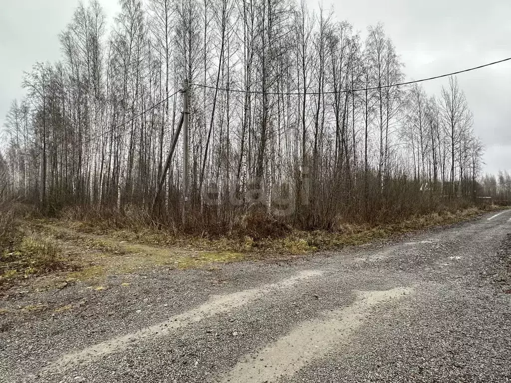 Участок в Вологодская область, Череповец ул. Жемчужная (8.0 сот.) - Фото 0
