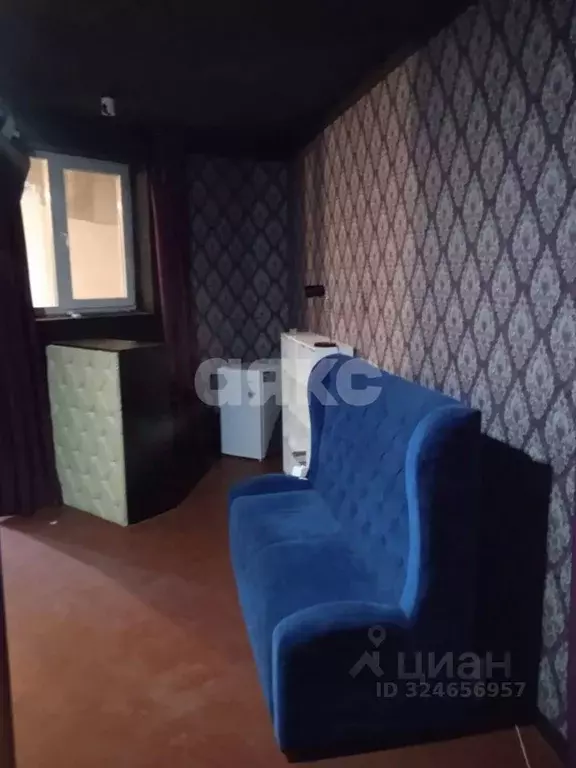 Помещение свободного назначения в Краснодарский край, Сочи ул. Кирова, ... - Фото 2