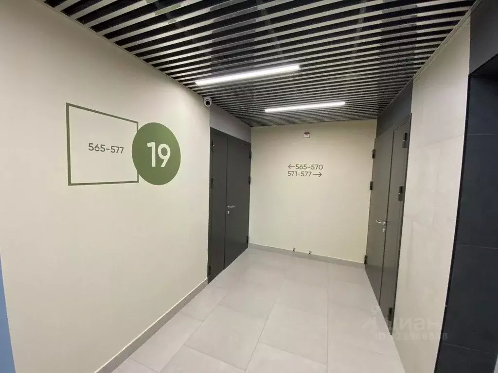 2-к кв. Свердловская область, Екатеринбург ул. Отрадная, 1/2 (52.0 м) - Фото 2