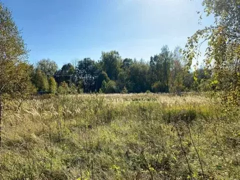 Участок в Тульская область, Заокский район, Страховское с/пос, д. ... - Фото 2