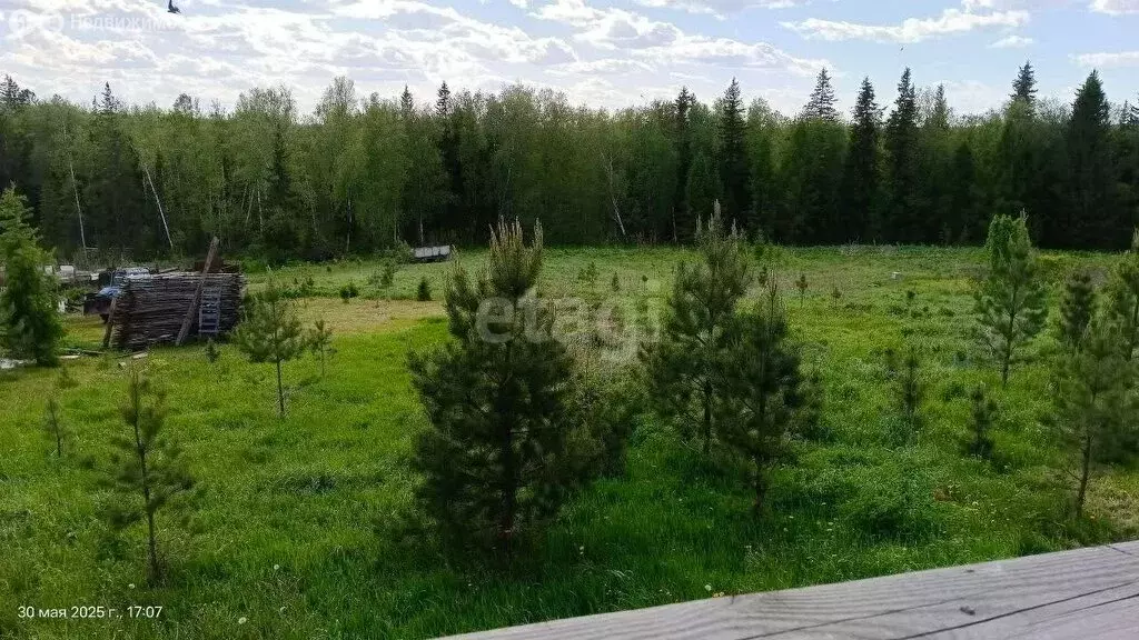 Участок в Зоркальцевское сельское поселение, деревня Берёзкино, Лесная ... - Фото 0