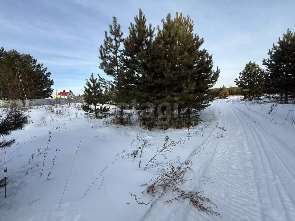 Участок в Тюменская область, Тюменский муниципальный округ, д. ... - Фото 1