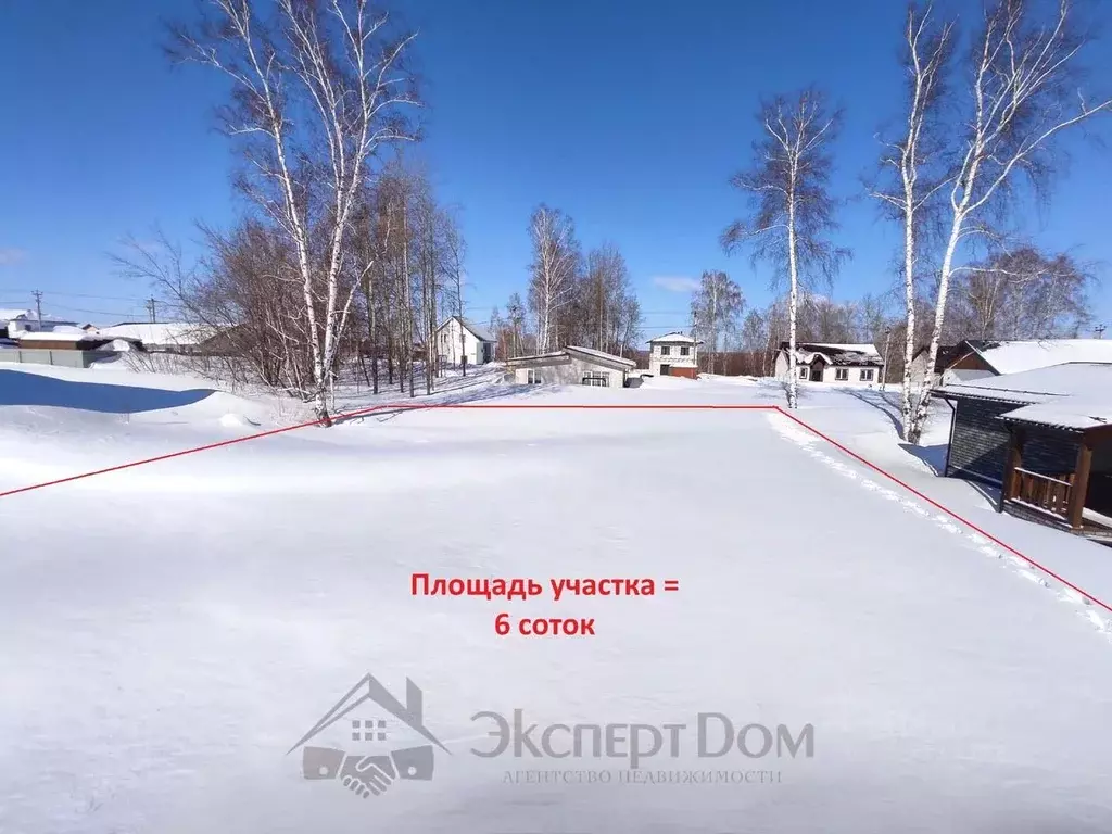 Участок в Новосибирская область, Новосибирский район, Каменский ... - Фото 1