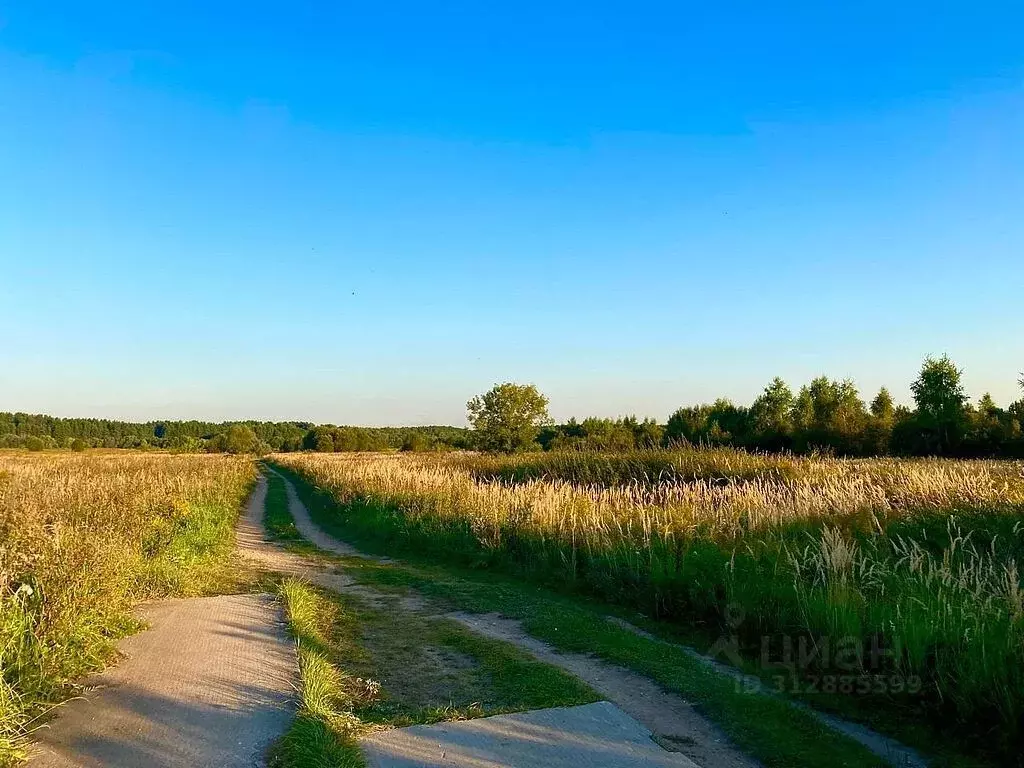 Участок в Московская область, Красногорск городской округ, д. ... - Фото 0